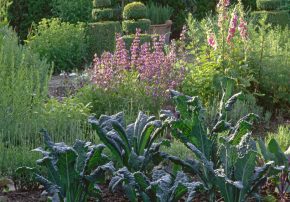 Ein Garten für die Seele - der Gemüsegarten